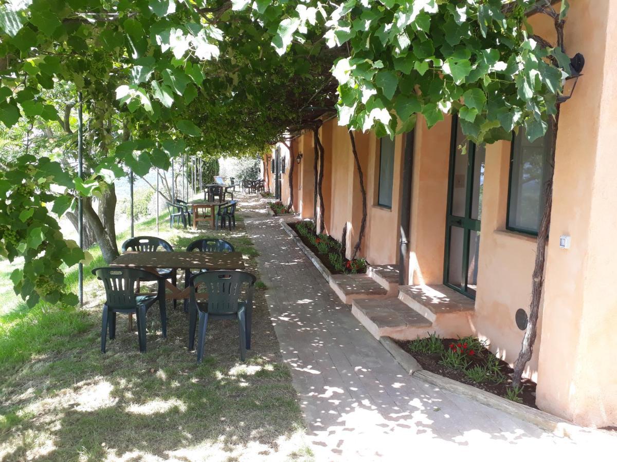 Agriturismo Le Serre Riparbella Exterior foto