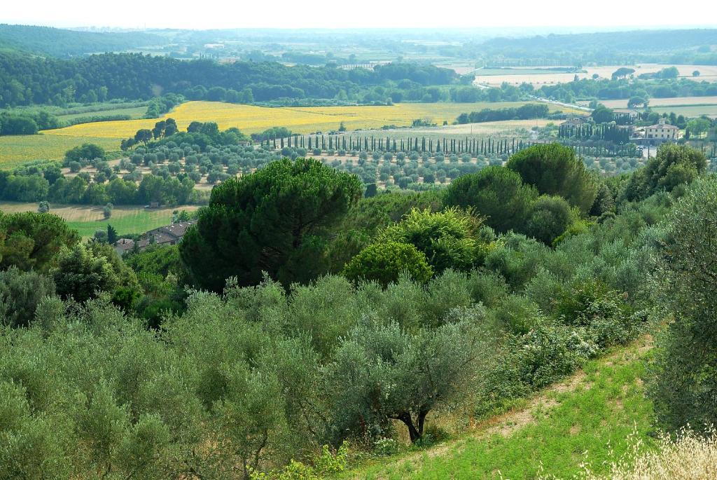 Agriturismo Le Serre Riparbella Exterior foto